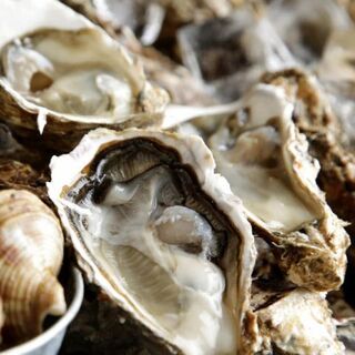 Fresh and flavorful Oyster are recommended! Be sure to start with raw Oyster.