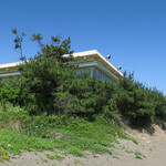 シーフードレストランメヒコ大洗店 - 横から降りると・・