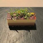 カンテサンス - 