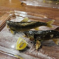 りょうりや 御旅屋 - あゆ