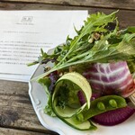 ​冬のRK GARDEN - 