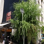 柳橋 こだに - 