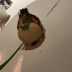 レフェルヴェソンス - 