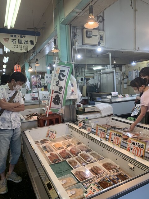 カネコウ 石垣水産 - 苫小牧（その他）