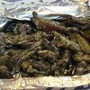 もも炭火焼専門店 嵐坊 大塚店