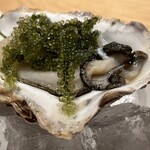 フレンチレストラン・プレジール - 大船渡市産牡蠣と海葡萄