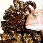 きくや - アメブロ写真：花咲蟹と真鯛