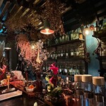 琉球ミクソロジースタイル バー アルケミスト - 