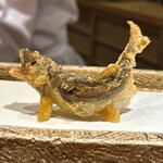 日本橋 蕎ノ字 - 天竜川の鮎