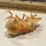 日本橋 蕎ノ字 - 海老の頭