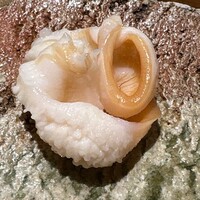 匠 進吾 - 石垣貝