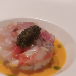 XEX TOKYO / Salvatore Cuomo Bros. - 