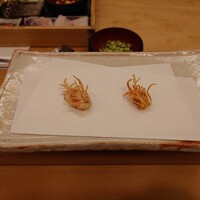 天金 - 