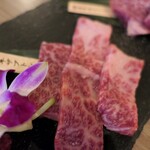 Kawagoe Yakiniku Kan - （2023/6月）深谷牛希少部位5種盛り