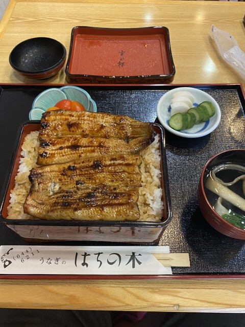 Unagi Dokoro Hachinoki