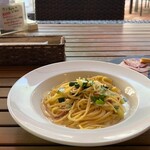 シマトネリコ - 