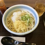 三笠うどん - ぶっかけ 冷 (470円) 大盛り (110円) 大根おろし (90円)