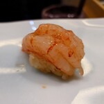 鮨 なんば - 縞海老