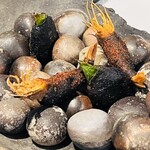 ラ・ヴァガボンド - ベニエ