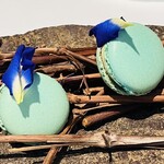 ラ・ヴァガボンド - マカロン