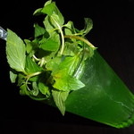 モデスティ - キウイのモヒート（ノンアル）