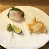 駒寿し - キジハタ・イシカゲ貝