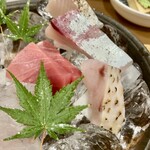 しんのすけ - 【上から】
      さわら、つばす、生本まぐろ_中とろ、あかむつ