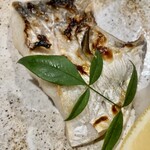 しんのすけ - マナカツオ塩焼