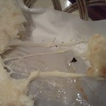 シブ マハール - みよーん