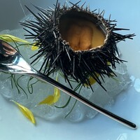 Bar＆Lounge MAJESTIC - 