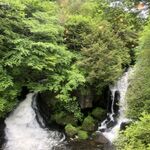龍頭之茶屋 - 龍頭の滝