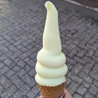 富士山みはらし_1