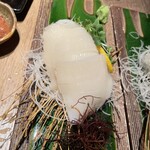 Gamushara - イカの刺身100円