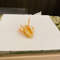 天白 - エビの頭