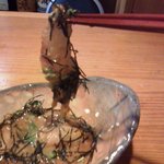 申子 - 鯛茶付け（ごまだれに浸けた鯛）