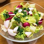 八紘学園 農産物直売所 - 【2023年05月】購入したラディッシュでサラダに