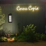 Cornu copia - 