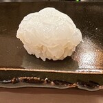 登喜和鮨 - 佐渡産アオリイカ