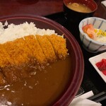 ニユートーキヨー 庄屋 - 今回オーダーの庄屋カレーセット