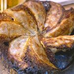 はかた商店 - 天神餃子8個￥800　2023.7.27