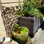 定食 美松 - コレ。