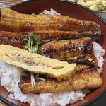うな中 - うなぎ丼(特上) 2,200円