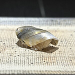 鮨 西崎 - シンコ。
      酢の塩梅が素晴らしく、バランスの良いシンコです。