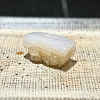 鮨 西崎 - 西崎さんのシグニチャーともいえる「白いか」。
                    身質の硬い白烏賊を極薄切りにし、6枚ほど重ねることで、見事なネタへと昇華させた一品。
                    甘さが際立って美味しい！