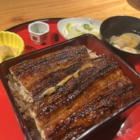 炭焼 うな富士 有楽町店 - なかなか迫力のある鰻