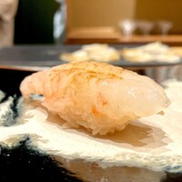 鮨 龍次郎 - 牡丹海老