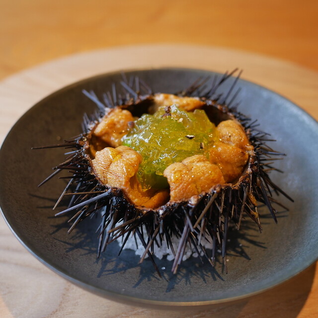 パピリオ・ホスピトン（1メス・イタリア） 01 754 7779 4065‐Set｜大丸松坂屋オンラインストア