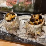 Yamahiko Zushi - 