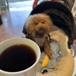 PARKER COFFEE STAND - エチオピアのハンドドリップ♪