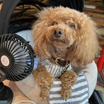 THE NUTS EXCHANGE - 扇風機持参ｗ